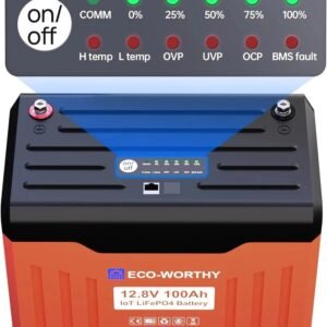 ECO-WORTHY 12V 100AH Lithium Battery with Battery Status Display and 100A BMS with Low-Temp Protection